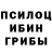 Галлюциногенные грибы прущие грибы Dilshod Akromov