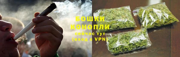 PSILOCYBIN Болотное