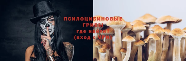 мяу мяу мука Бикин