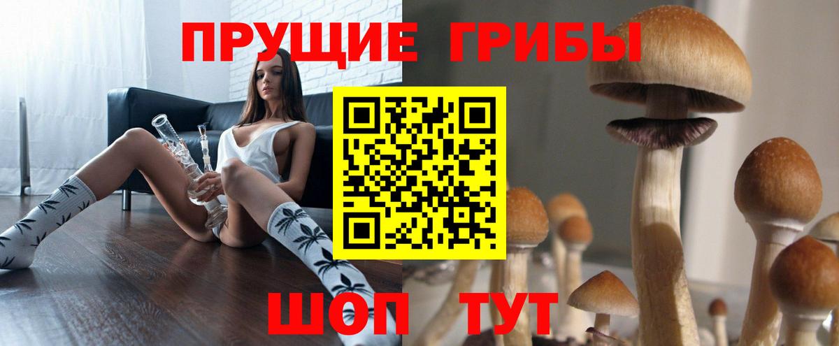 Псилоцибиновые грибы мухоморы Сыктывкар