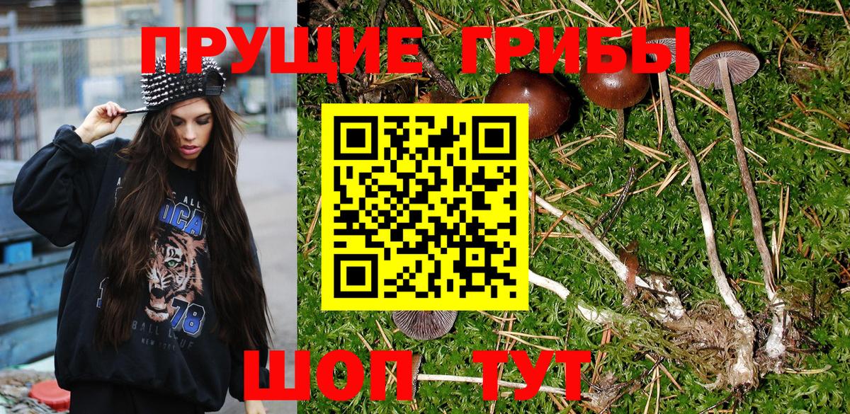 Галлюциногенные грибы мухоморы  Сыктывкар 